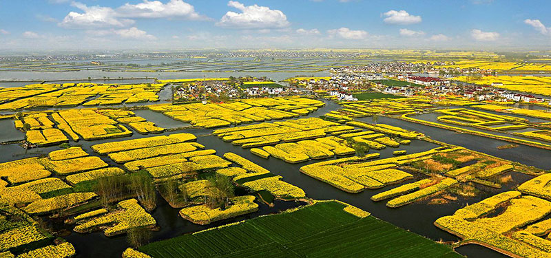 乡村振兴战略村庄规划_乡村规划设计_江苏省村庄规划编制指南