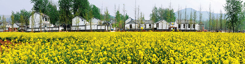 乡村规划设计_乡村振兴战略村庄规划_江苏省村庄规划编制指南