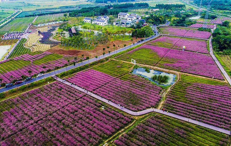 乡村振兴战略村庄规划_江苏省村庄规划编制指南_乡村规划设计