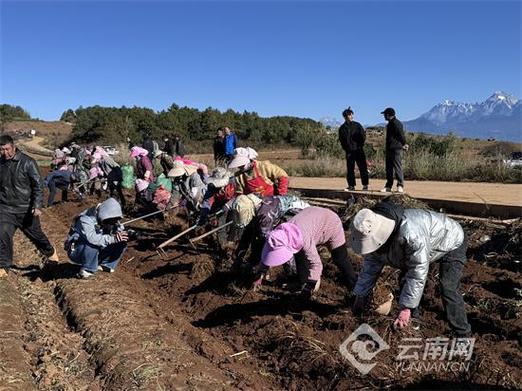 优良品种特点_地方品种的优势_品种优势地方有哪些