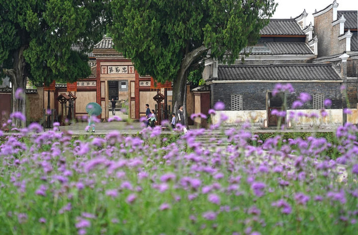 如何发展乡村旅游_江西于都县富硒产业_乡村振兴生态农业