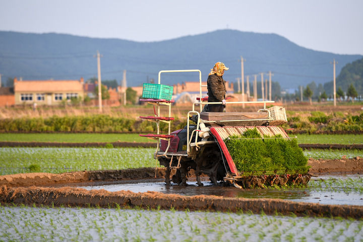 江西于都县富硒产业_乡村振兴生态农业_如何发展乡村旅游