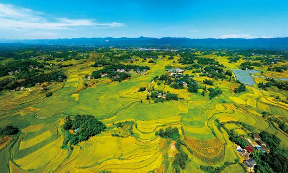 7月13日消息！重庆休闲农业重点县及乡村旅游发展成果显著