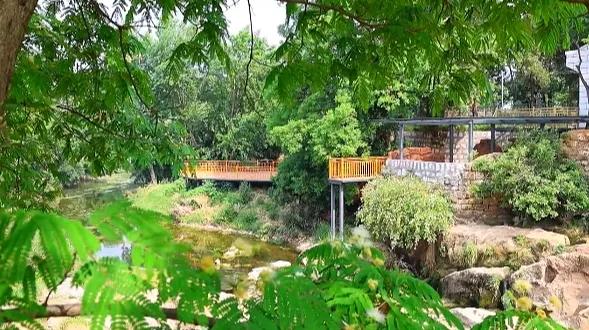 黄家庄村田园慢生活_乡村叙事东黄家庄论坛_乡村山水农旅融合