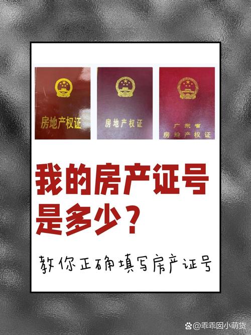 开发商大产权证查询_二手房产权查询步骤_房屋产权查询方法