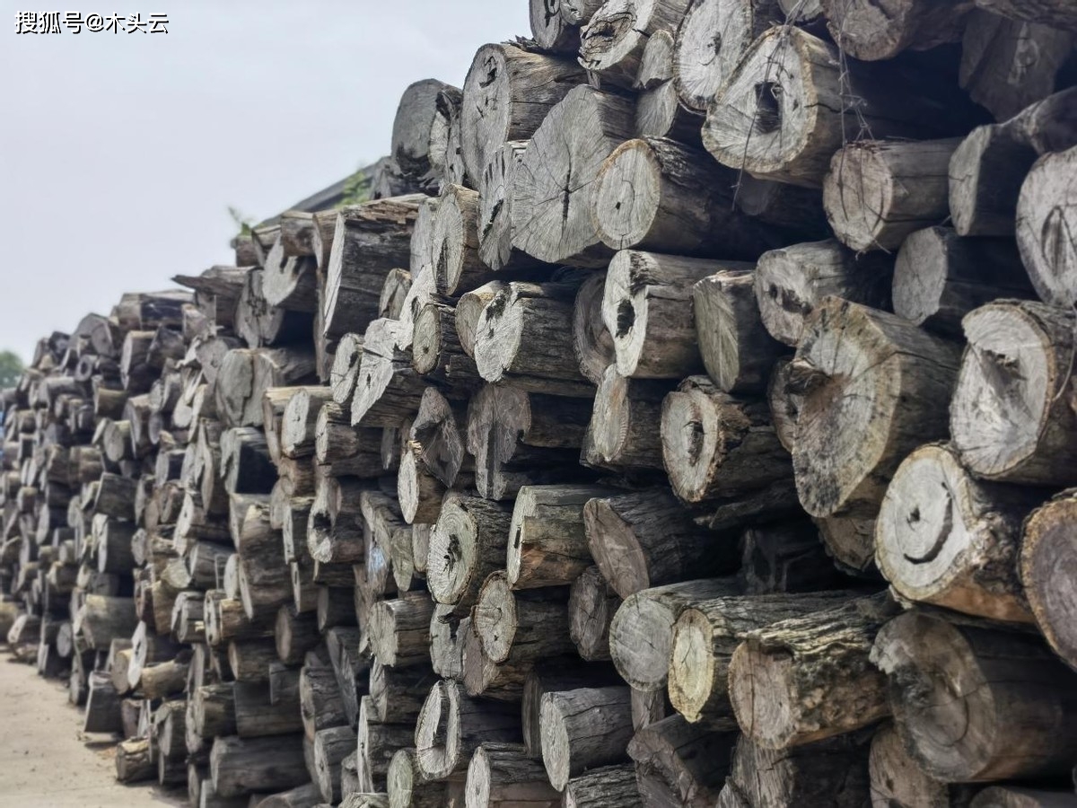 非洲木材市场沉闷价格偏稳_进口木材边角料市场_东南亚木材出口价格调整