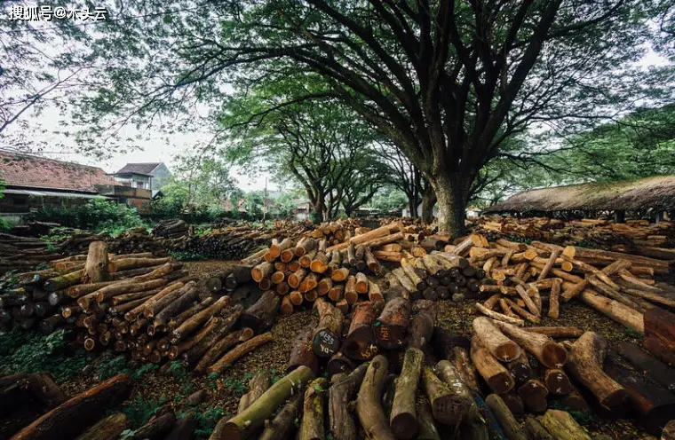 东南亚木材出口价格调整_进口木材边角料市场_非洲木材市场沉闷价格偏稳