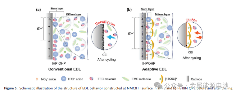 固体聚合电解质物有哪些_固体聚合电解质物是什么_固体聚合物电解质
