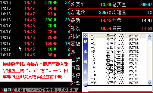 同花顺Level-2闪电下单_同花顺的level2怎么用_快速追买追卖功能