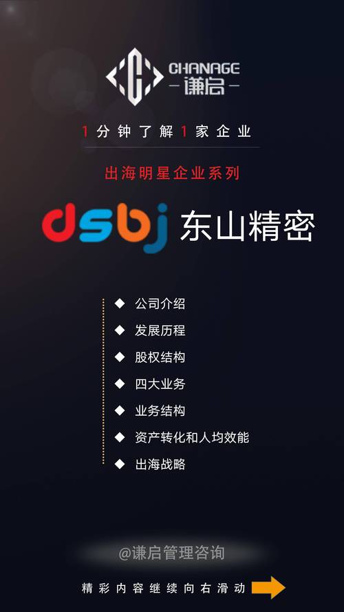 上市公司发行股票是什么意思_股票发行上市_发行股票上市