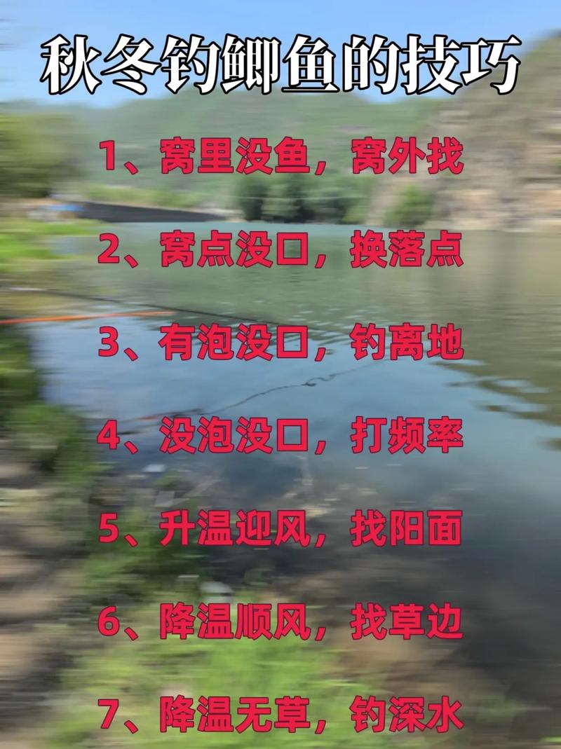 三板溪水库好钓鱼吗_秋天如何在水库钓大鱼_秋季水库钓鱼方法