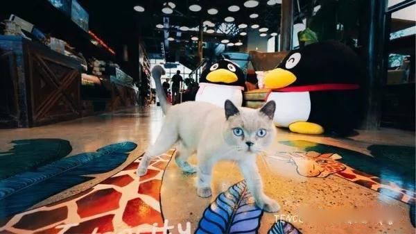 腾讯成都研发总部_qq腾讯公司电话_腾讯内部文化