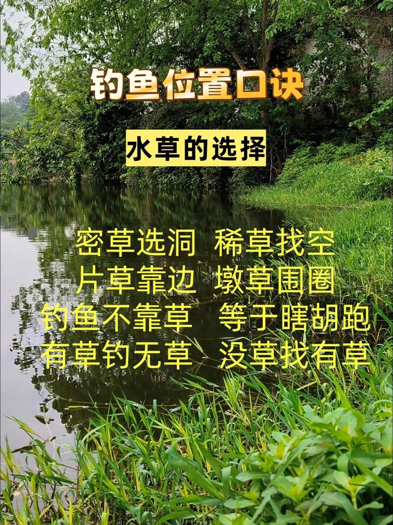 秋季去三板溪水库钓鱼，怎么选钓位才能爆护？