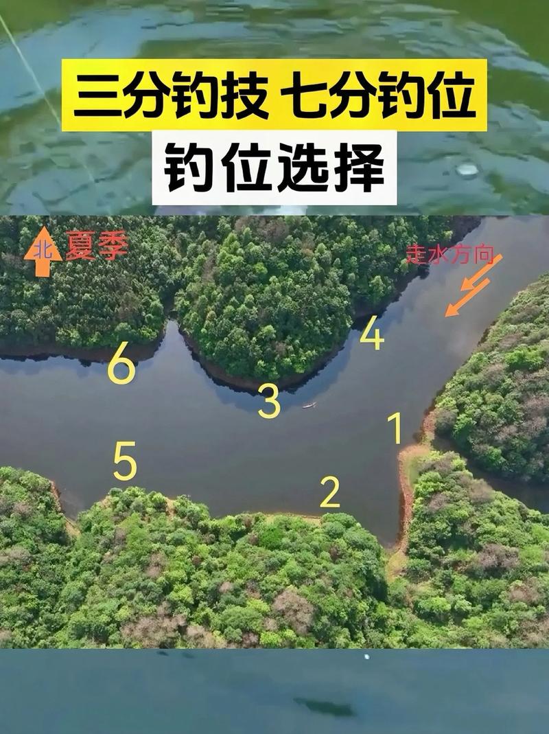 秋季水库钓鱼技巧_秋季水库钓鲤鱼方法_三板溪水库好钓鱼吗