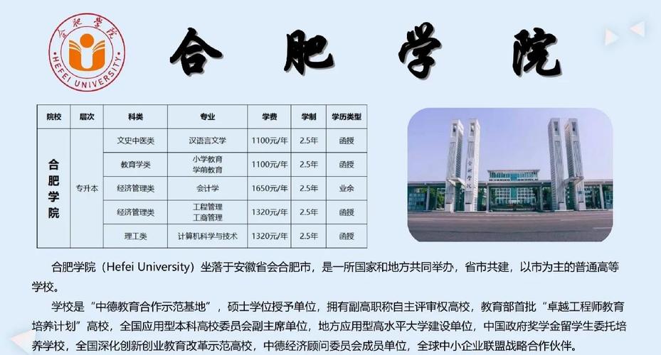 合肥学院：2002 年合并组建后，国际化办学推动跨越式发展？