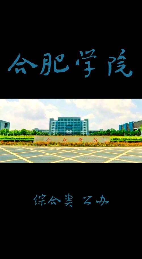 地方高校国际化发展模式_地方高校如何实现办学国际化_合肥学院国际化办学经验