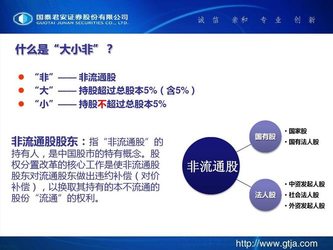 大小非减持金融服务_大小非 名词解释_大小非股权质押融资