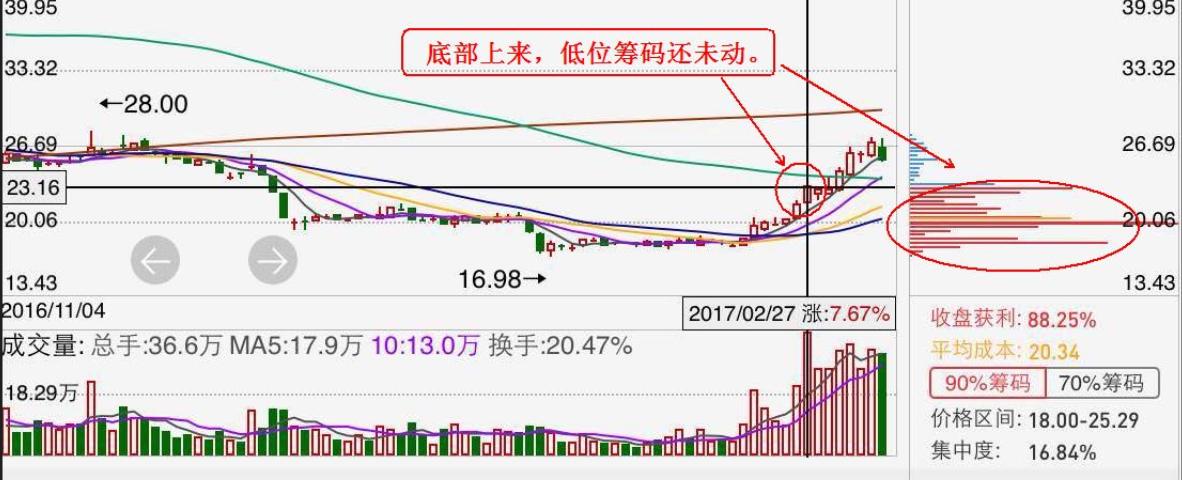 涨停金凤凰_股票涨停是好是坏_涨停不破高