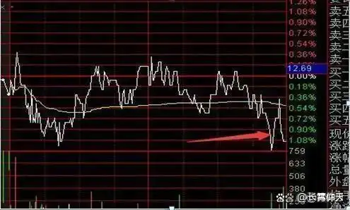 止损技巧_龙头股洗盘方式_投资策略