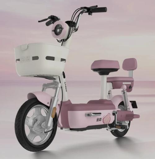 电动自行车市场前景：智能新车受年轻人热捧