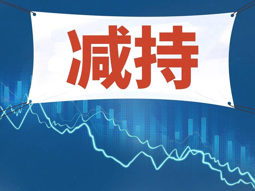 减持新规 资本市场 监管体系_大小非规定