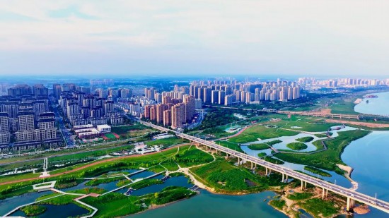 城市绿化增新颜