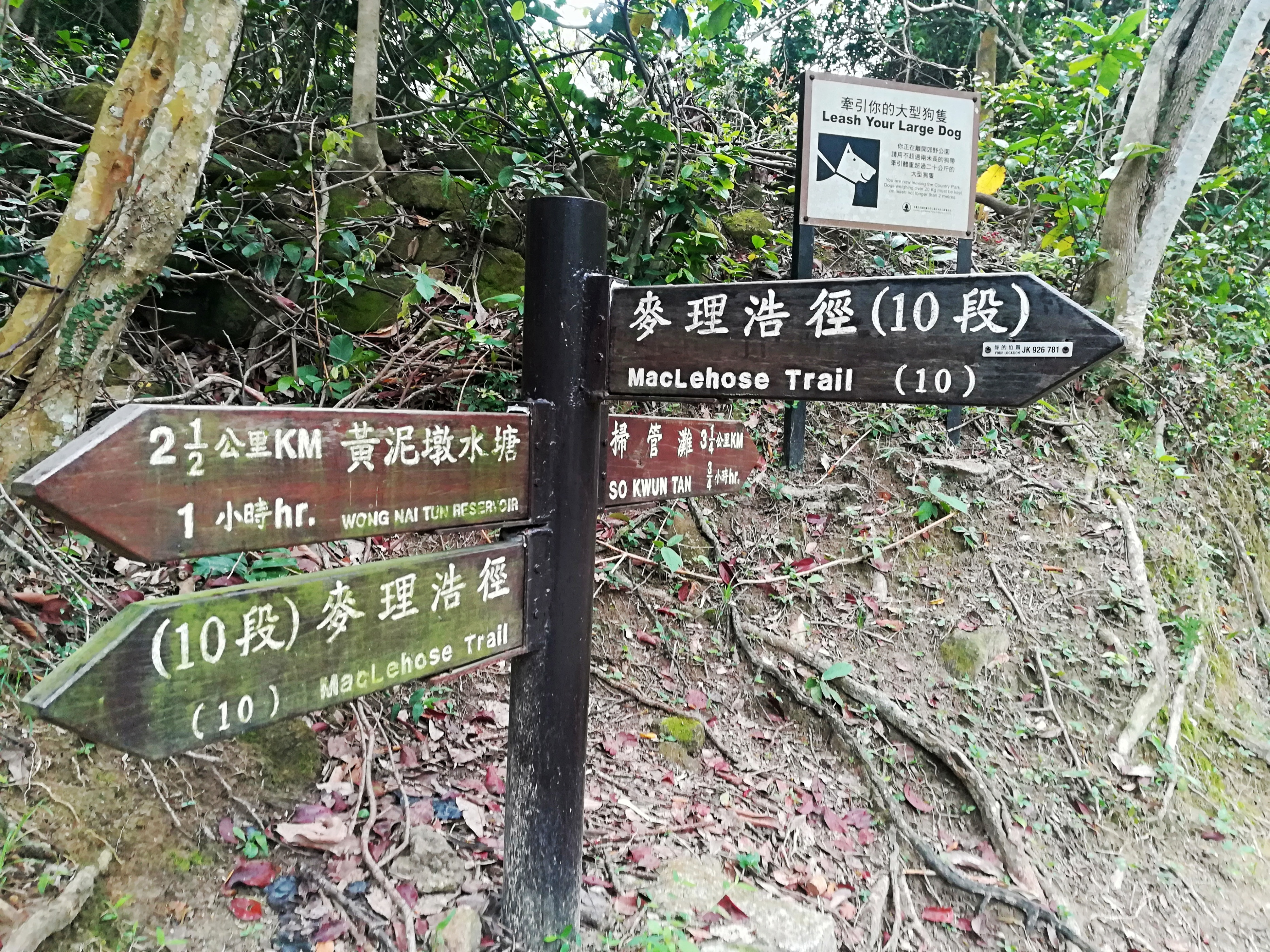 香港徒步路线_香港麦理浩径起源_麦理浩径攻略