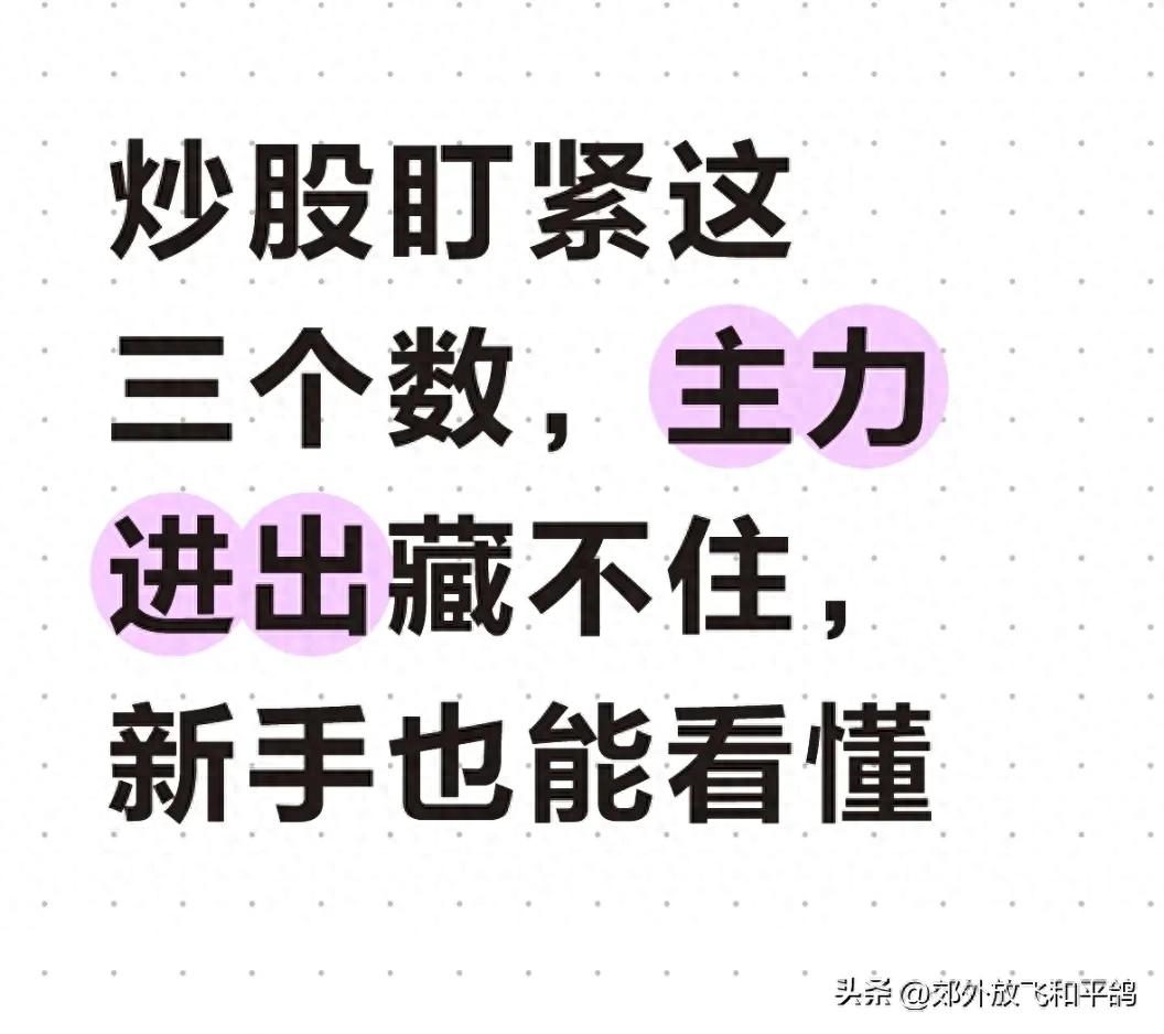 看不懂主力_量比换手率成交额_股票 大小非