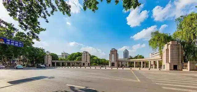 上海海关学校2024级学生就业情况及就业方向分析