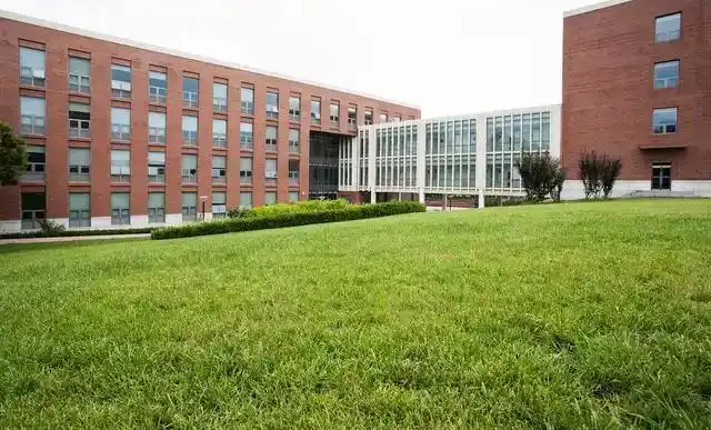 海关学院 就业_毕业就业数据上海海关学校_上海海关学校2024级学生求职状况