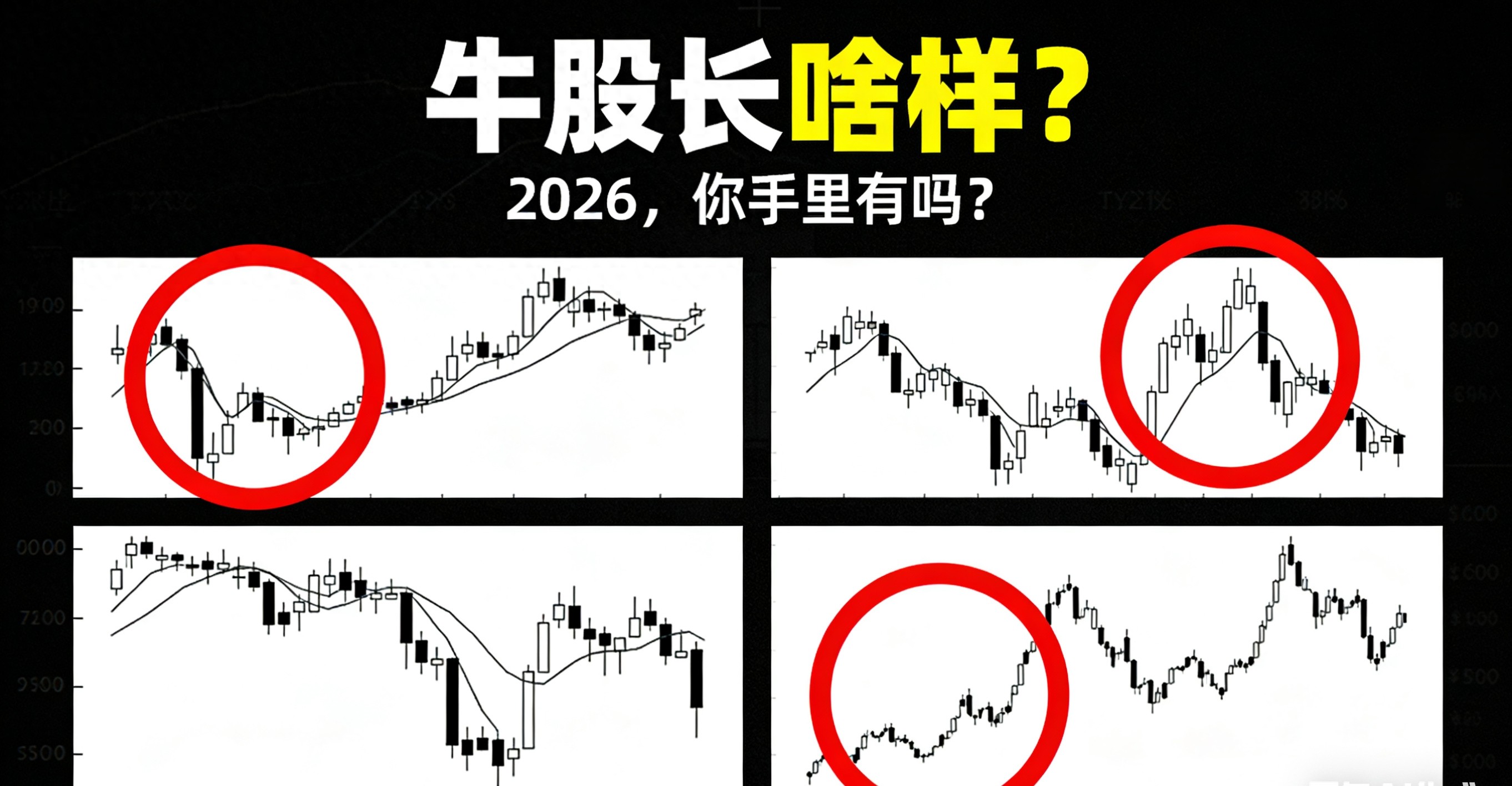 A股牛股特征_怎样发现牛股_龟速牛与疯牛对比